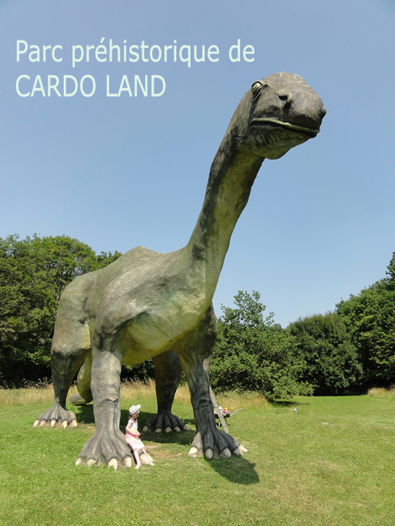 Cardoland